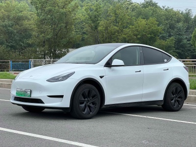 2024年3月 特斯拉 Model Y 改款 长续航后轮驱动版图片