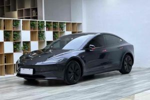 Model Y 特斯拉 Performance高性能版