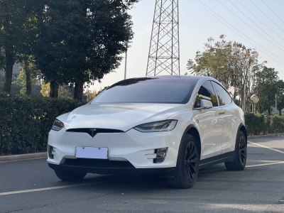 2020年9月 特斯拉 Model X 標(biāo)準(zhǔn)續(xù)航版圖片