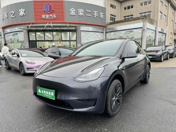 特斯拉 Model Y  2020款 改款 长续航后轮驱动版