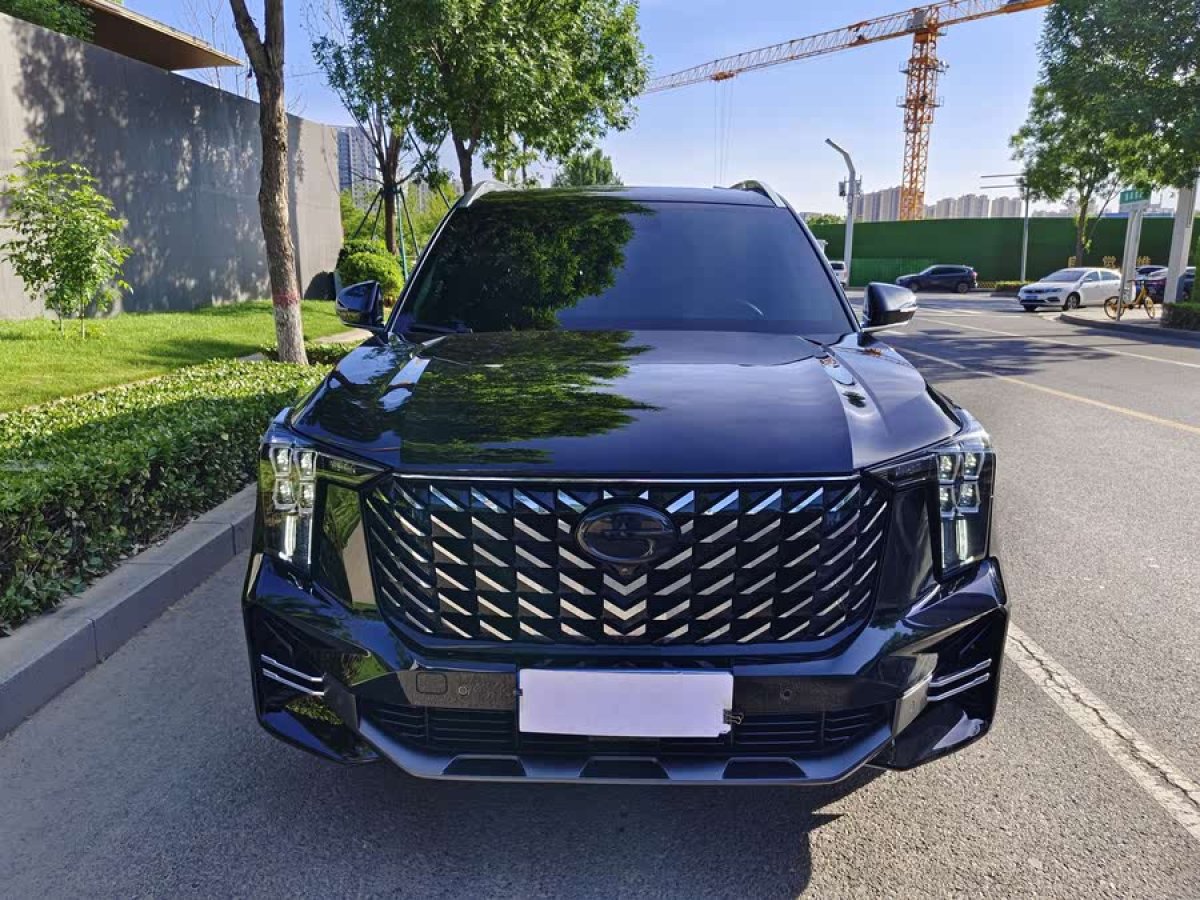 廣汽傳祺 GS8  2022款 領(lǐng)航系列 2.0TGDI 兩驅(qū)尊貴版（七座）圖片