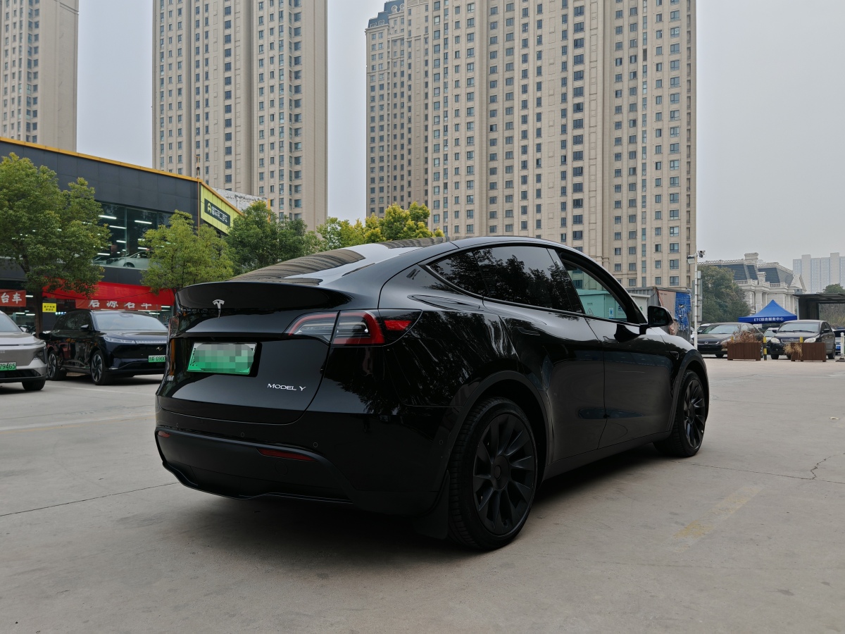 特斯拉 Model Y  2021款 改款 Performance高性能全輪驅(qū)動版圖片