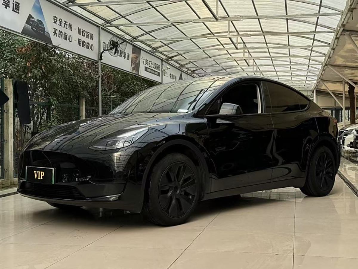 2024年1月特斯拉 Model 3  2020款 改款 長續(xù)航后輪驅(qū)動版