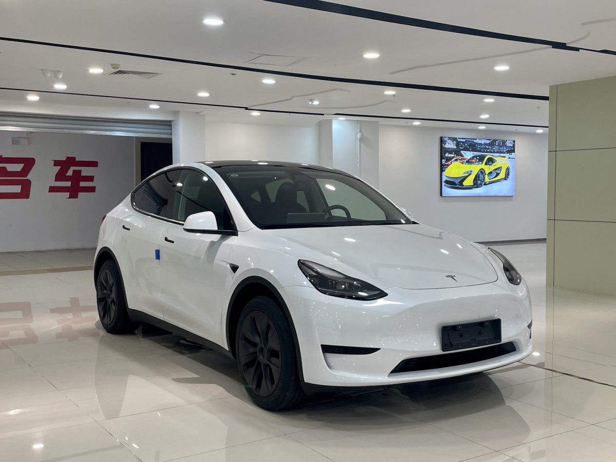 特斯拉 Model Y  2020款 改款 長(zhǎng)續(xù)航后輪驅(qū)動(dòng)版圖片