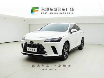 2024年12月 雷克薩斯 RX 300 四驅(qū)駿享版圖片