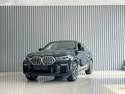 2020年7月 宝马 宝马X6(进口) xDrive40i M运动套装图片