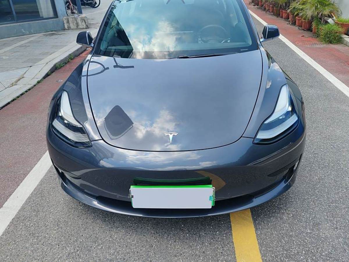 特斯拉 Model 3  2019款 標準續(xù)航后驅升級版圖片