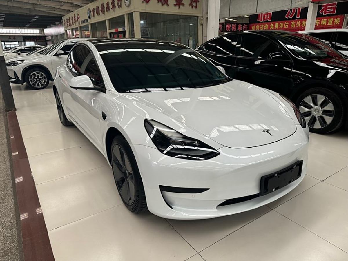 特斯拉 Model 3  2021款 改款 標(biāo)準(zhǔn)續(xù)航后驅(qū)升級(jí)版圖片