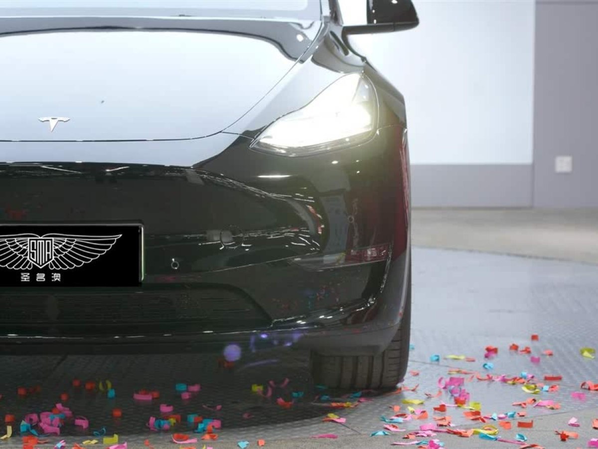 特斯拉 Model Y  2023款 長續(xù)航全輪驅(qū)動版圖片
