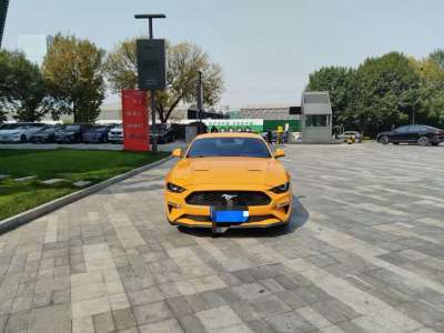 2019年6月 福特 Mustang(進(jìn)口) 2.3L EcoBoost 性能加強(qiáng)版圖片