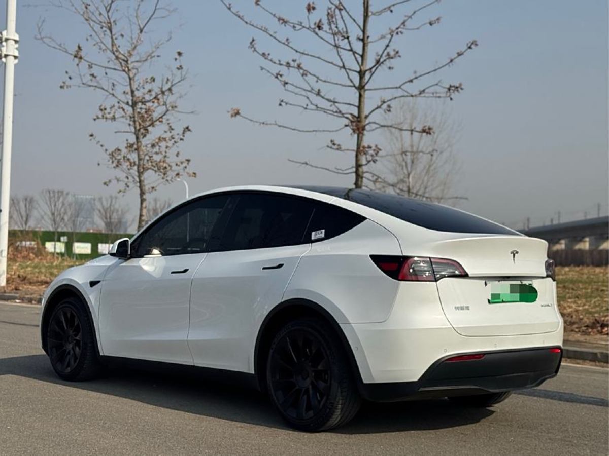 特斯拉 Model Y  2021款 改款 長(zhǎng)續(xù)航全輪驅(qū)動(dòng)版圖片