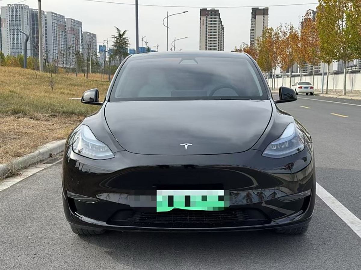 特斯拉 Model Y  2022款 改款 長續(xù)航全輪驅(qū)動(dòng)版圖片