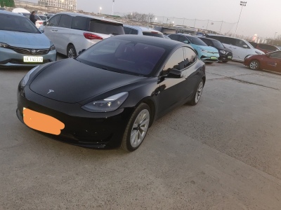 2021年3月 特斯拉 Model 3 標準續(xù)航后驅升級版圖片