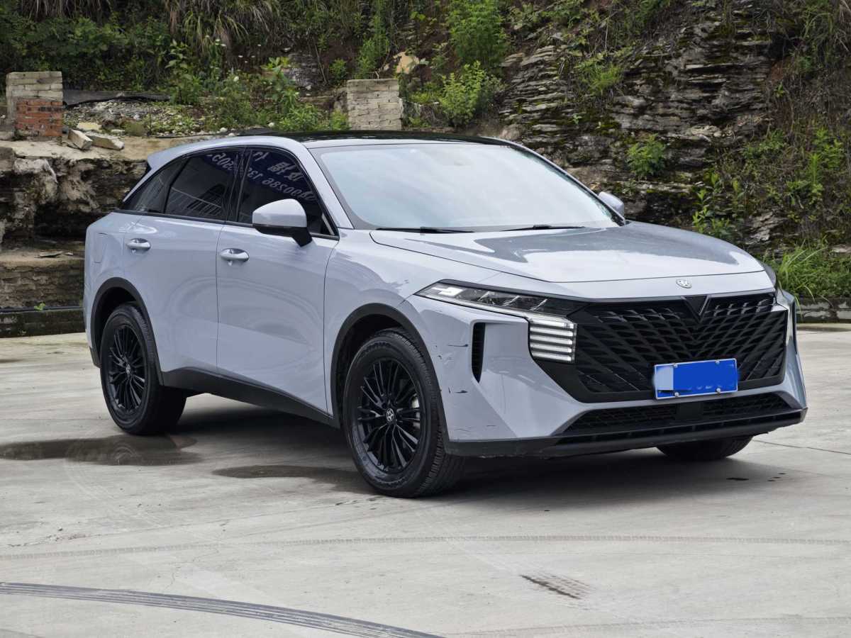 啟辰 啟辰大V  2021款 260T 愛豆版圖片