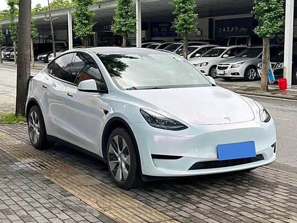 特斯拉 Model 3  2022款 后輪驅(qū)動(dòng)版圖片