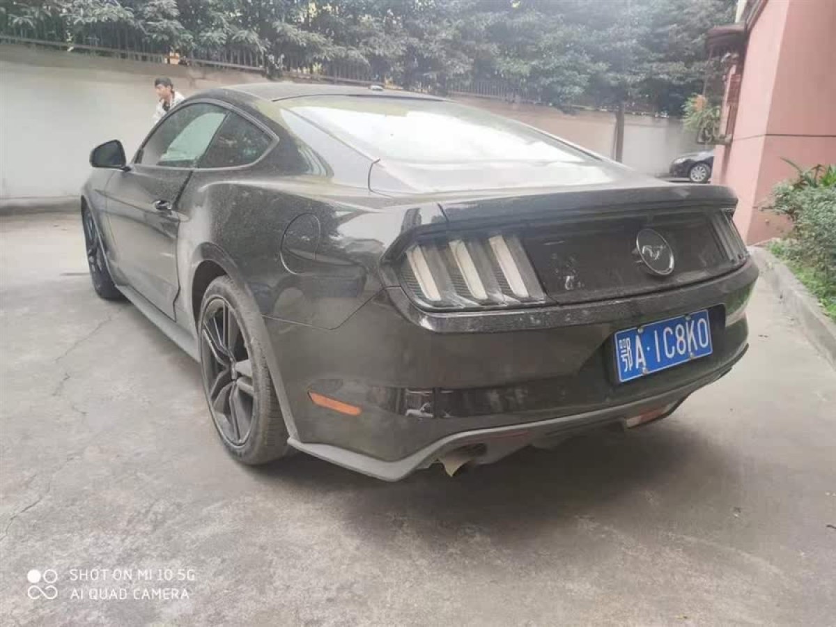 2015年3月福特 Mustang  2015款 2.3T 50周年紀念版