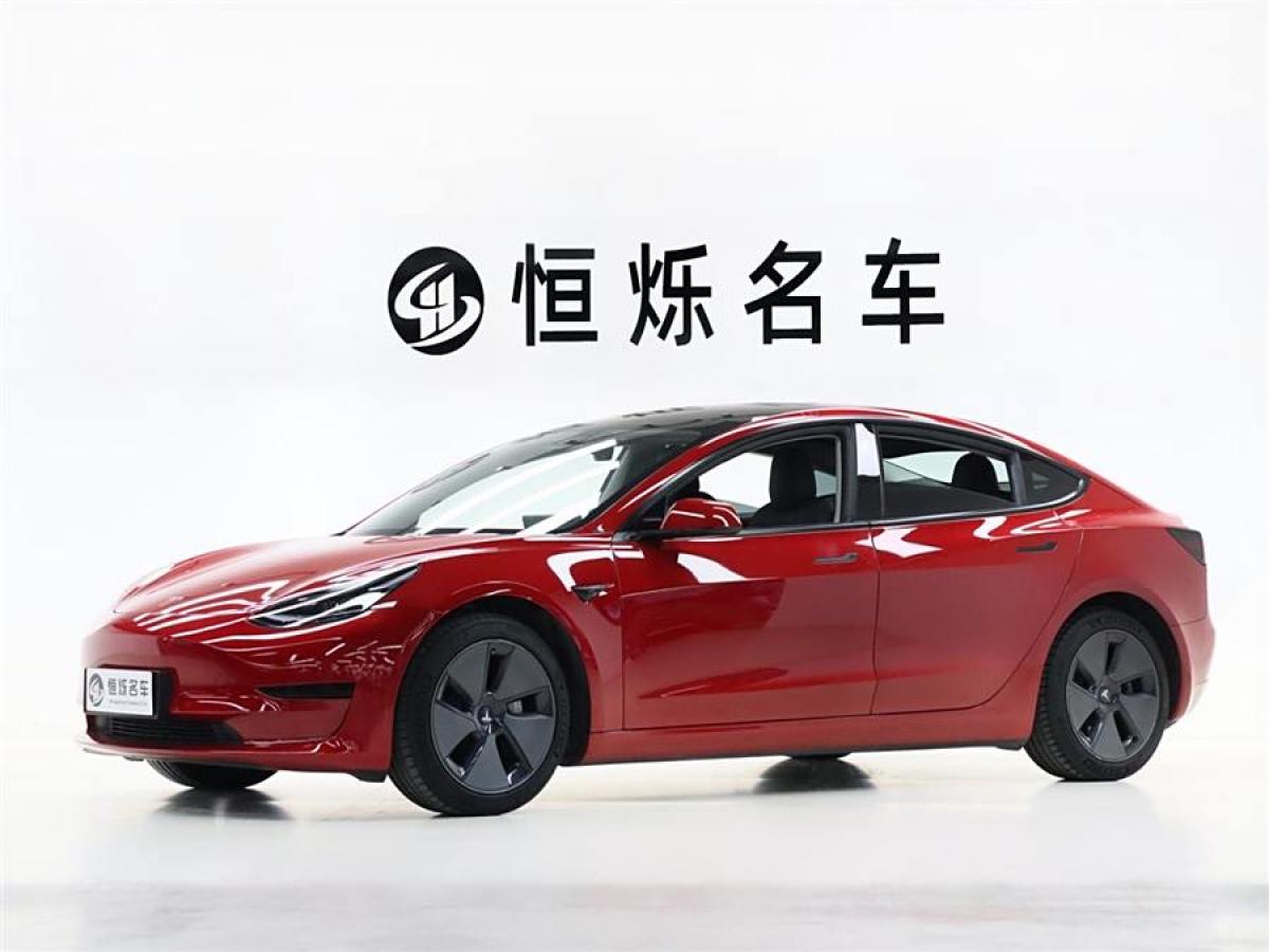 2021年2月特斯拉 Model 3  2021款 改款 標(biāo)準(zhǔn)續(xù)航后驅(qū)升級(jí)版