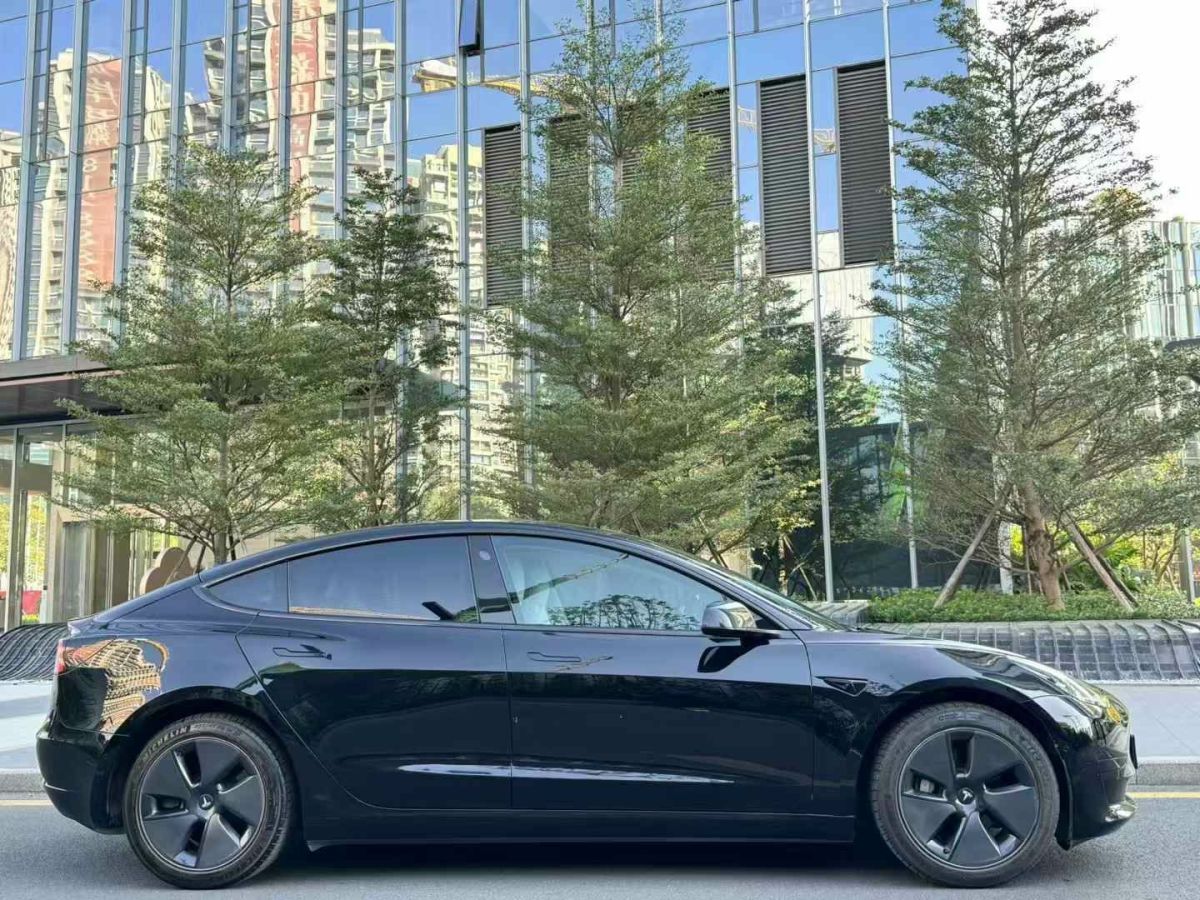 特斯拉 Model 3  2022款 Performance高性能全輪驅(qū)動(dòng)版圖片