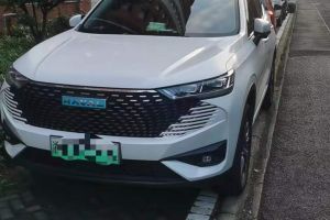 H6 哈弗 國潮版 1.5T 自動(dòng)冠軍版