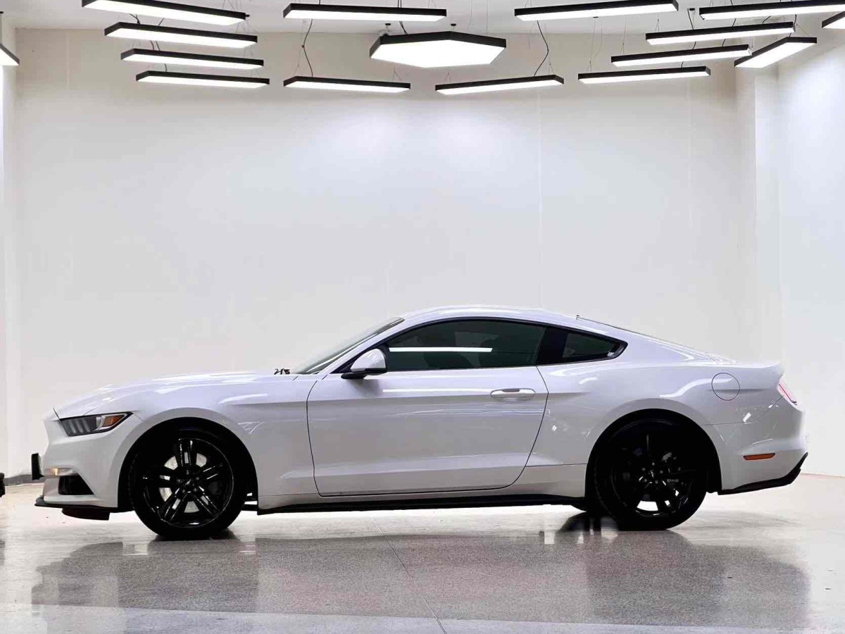 2017年4月福特 Mustang  2017款 2.3T 性能版