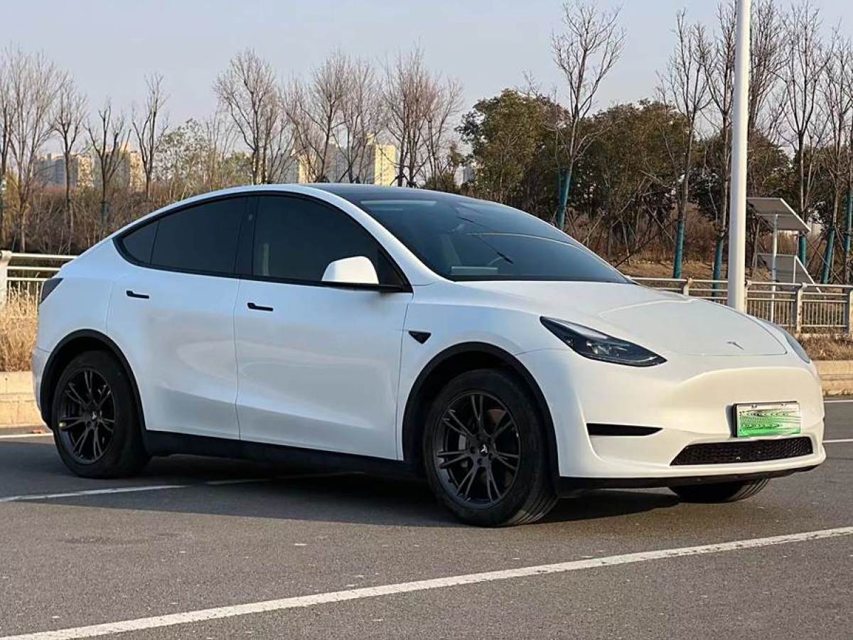 特斯拉 Model 3  2020款 改款 長(zhǎng)續(xù)航后輪驅(qū)動(dòng)版圖片