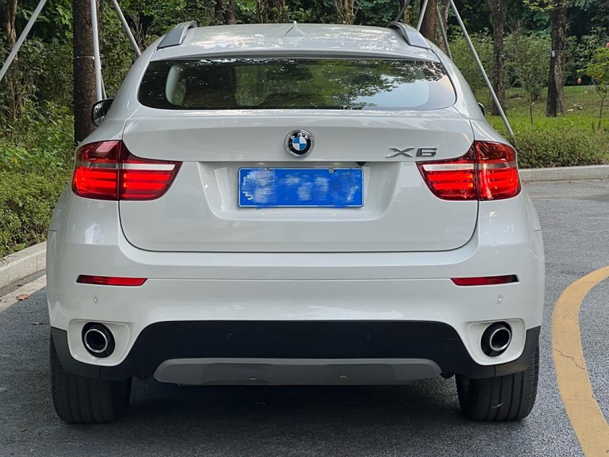 寶馬 寶馬X6  2014款 xDrive35i 運(yùn)動(dòng)型圖片