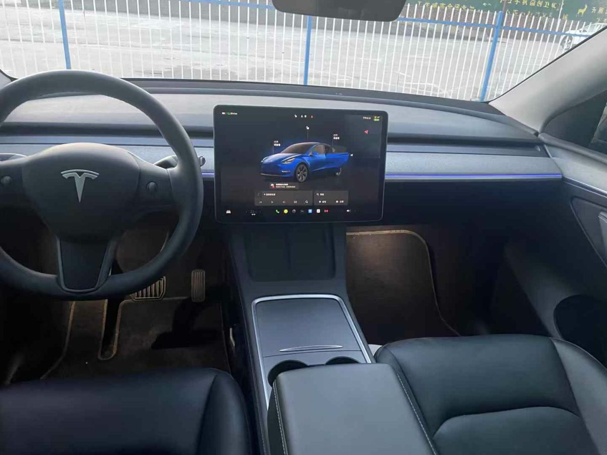 特斯拉 Model Y  2024款 Performance高性能版圖片