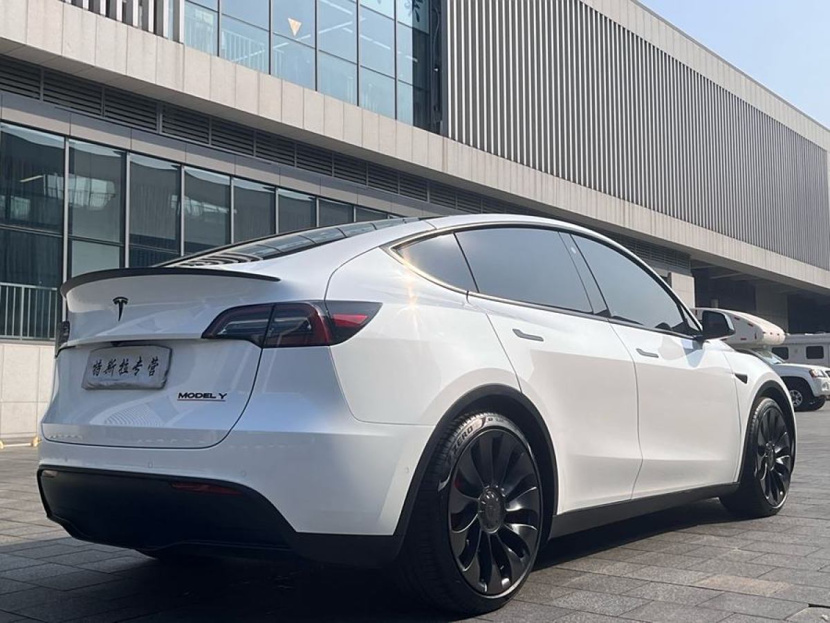 特斯拉 Model Y  2022款 Performance高性能全輪驅(qū)動(dòng)版圖片