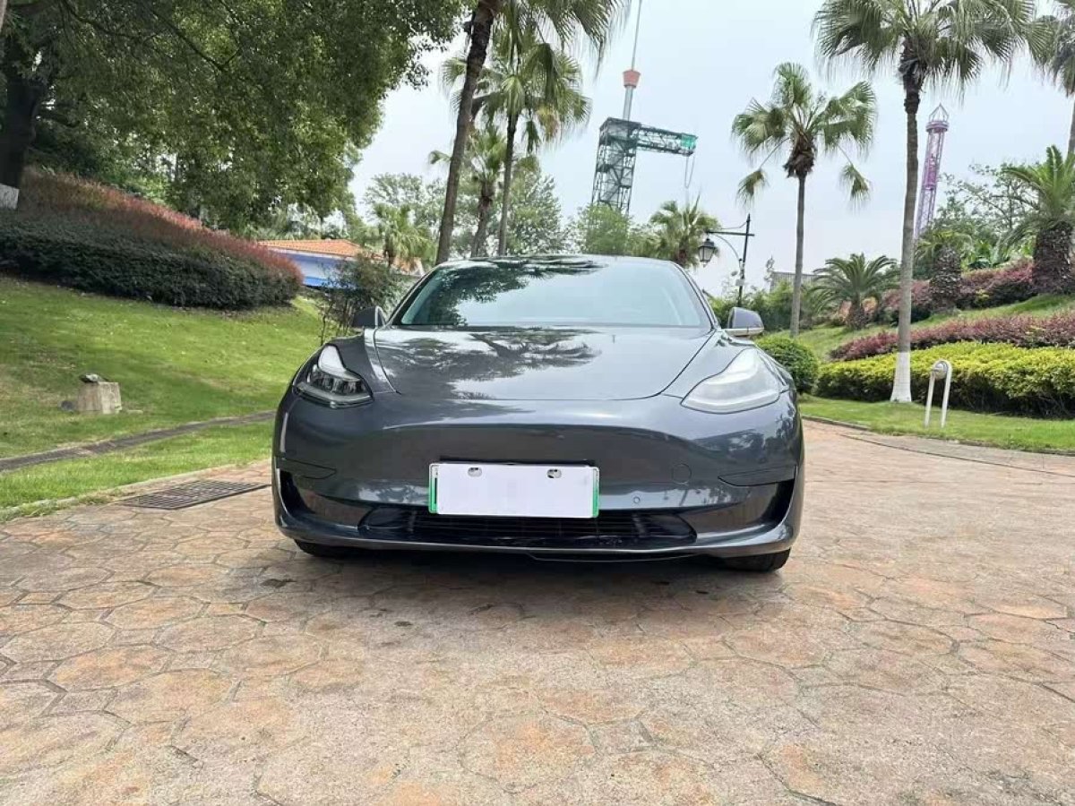 特斯拉 Model 3  2020款 改款 標(biāo)準(zhǔn)續(xù)航后驅(qū)升級(jí)版圖片