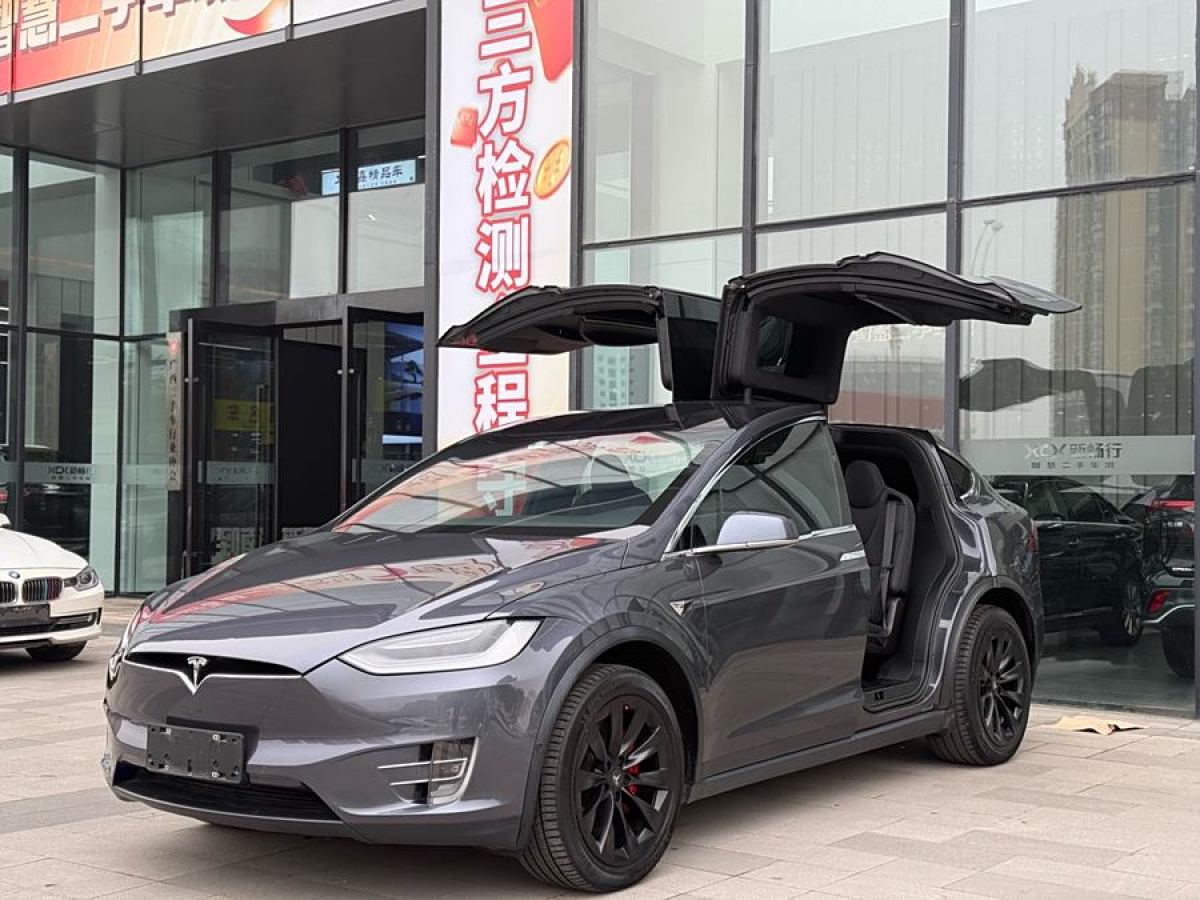 2020年9月特斯拉 Model X  2020款 長(zhǎng)續(xù)航升級(jí)版