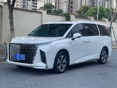 2022年8月 上汽大通 上汽大通MAXUS G90 2.0T 星辰七座版图片