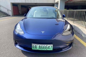 Model 3 特斯拉 標準續(xù)航后驅(qū)升級版 3D6