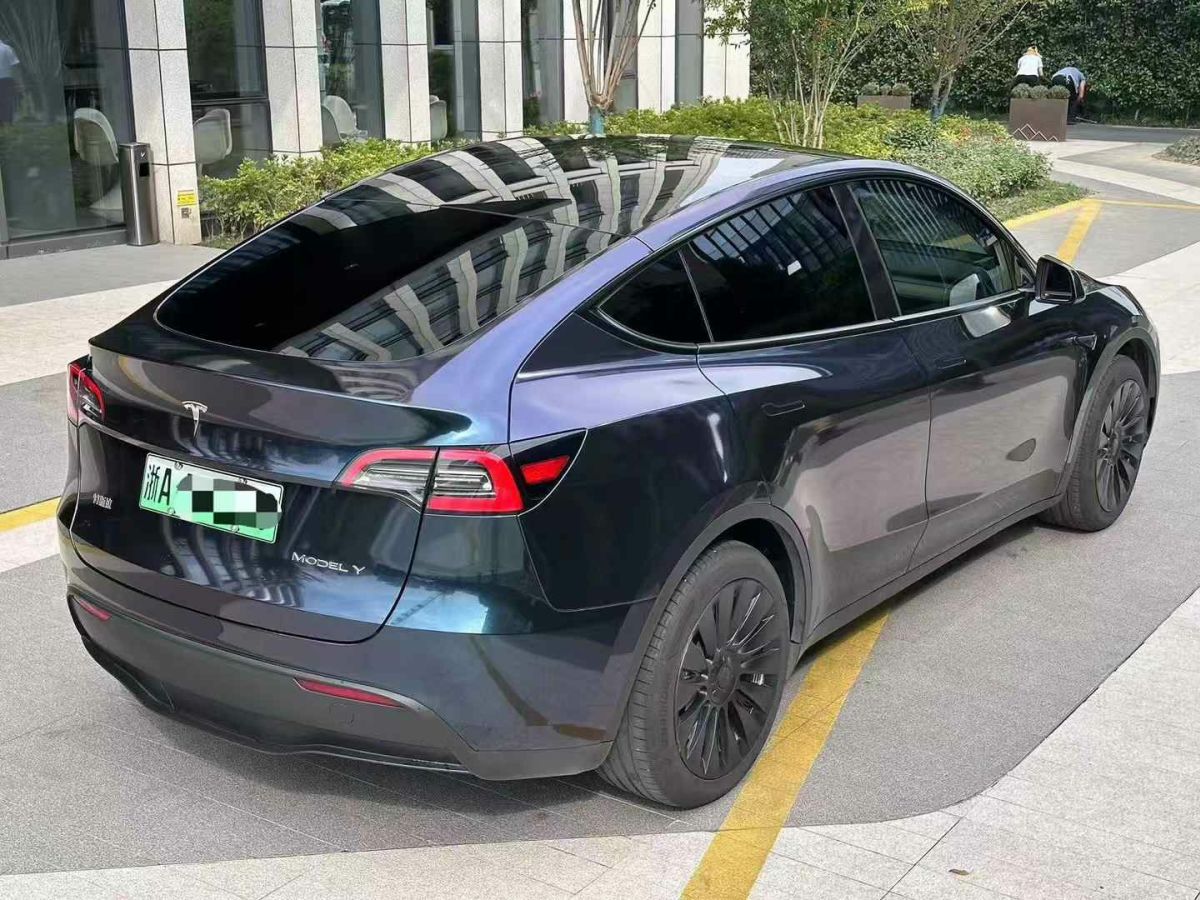 特斯拉 Model S  2023款 三電機(jī)全輪驅(qū)動(dòng) Plaid版圖片