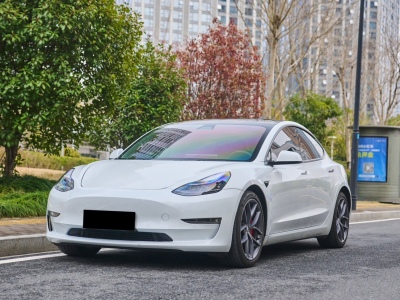 2021年3月 特斯拉 Model 3 Performance高性能全轮驱动版图片