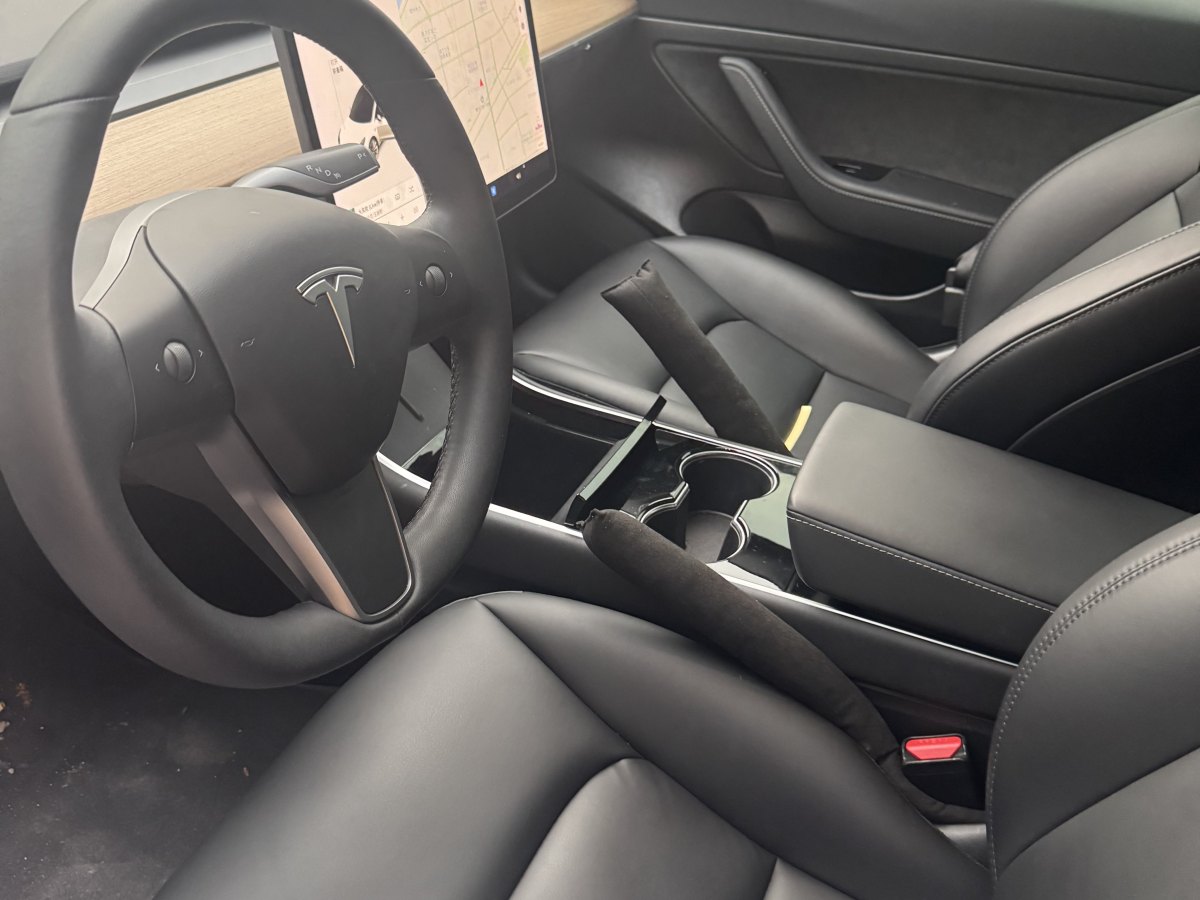 特斯拉 Model 3  2019款 標(biāo)準(zhǔn)續(xù)航后驅(qū)升級版圖片