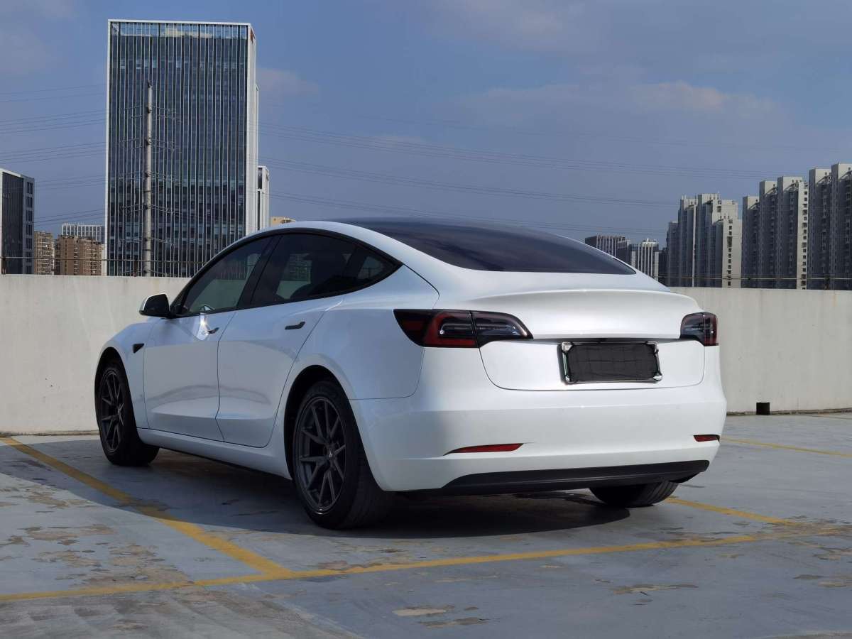 特斯拉 Model 3  2019款 標(biāo)準(zhǔn)續(xù)航后驅(qū)升級(jí)版圖片