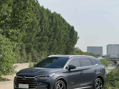 2022年1月 比亞迪 唐新能源 DM-p 215KM 四驅(qū)尊享型圖片
