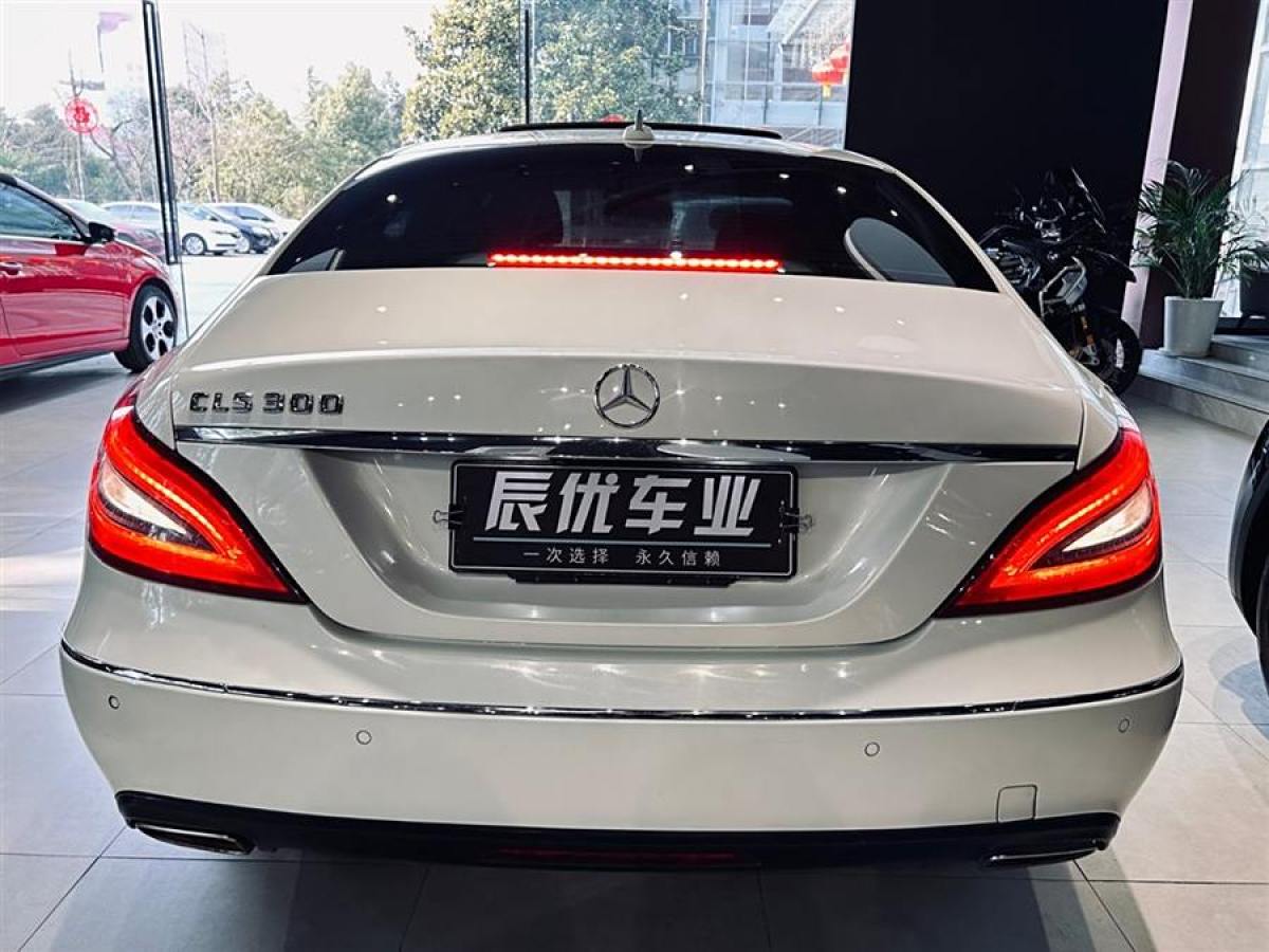 奔馳 奔馳CLS級  2012款 CLS 300 CGI圖片