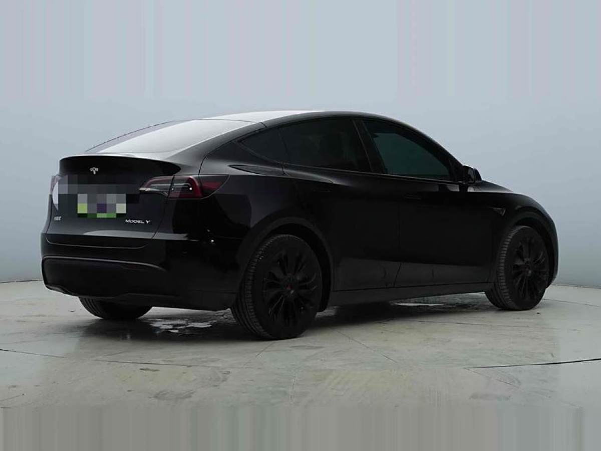 特斯拉 Model Y  2022款 后輪驅(qū)動(dòng)版圖片