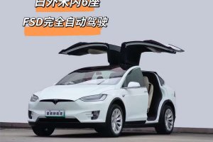 Model X 特斯拉 長續(xù)航升級版