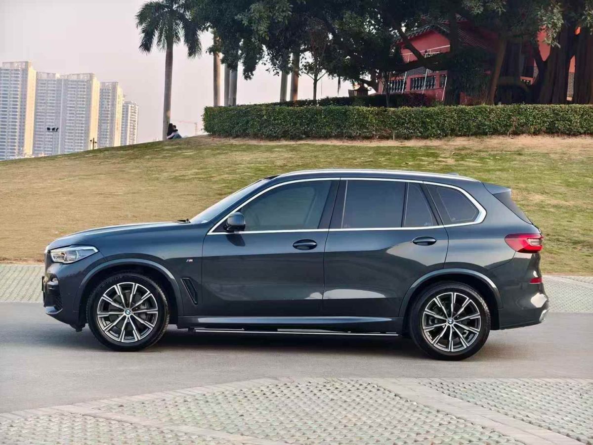 寶馬 寶馬X5  2021款 xDrive30i X設(shè)計(jì)套裝圖片