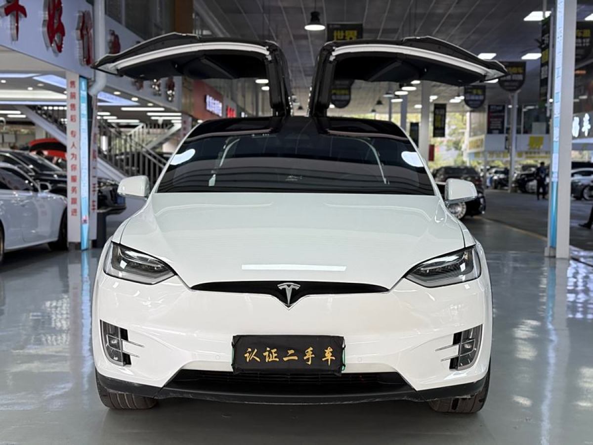 特斯拉 Model X  2019款 長續(xù)航版圖片