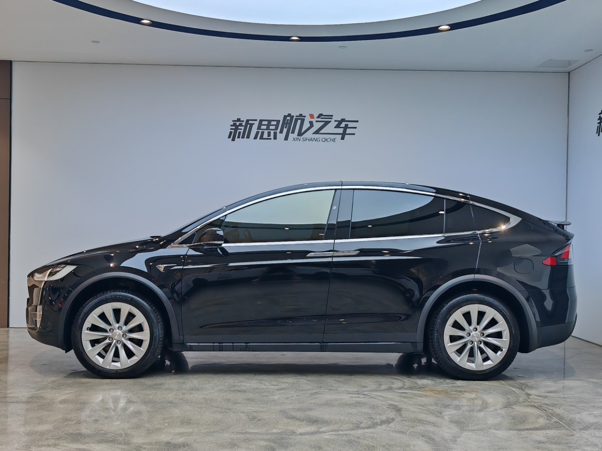 特斯拉 Model X  2019款 長續(xù)航版圖片