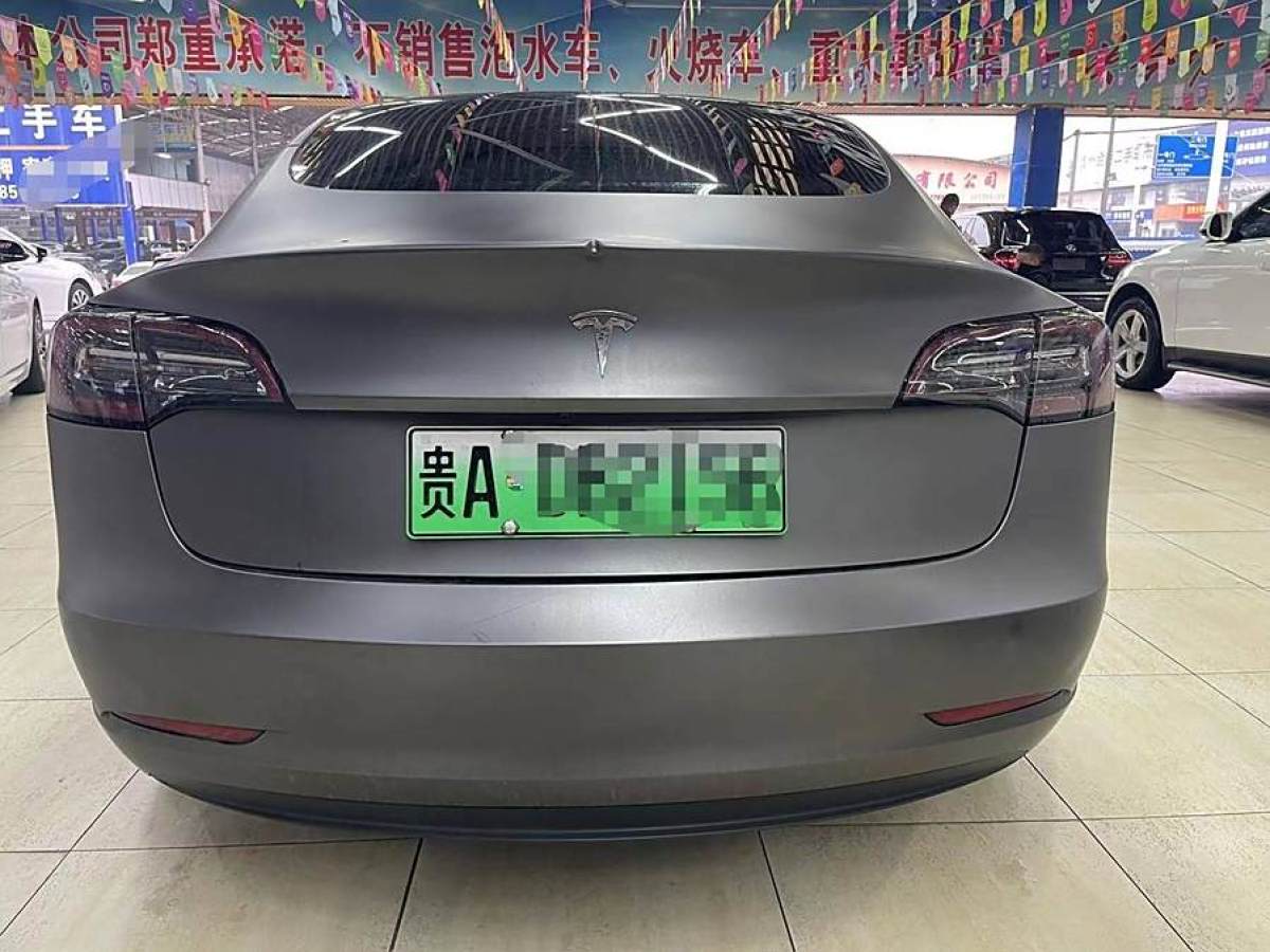 特斯拉 Model Y  2020款 改款 標準續(xù)航后驅(qū)升級版圖片