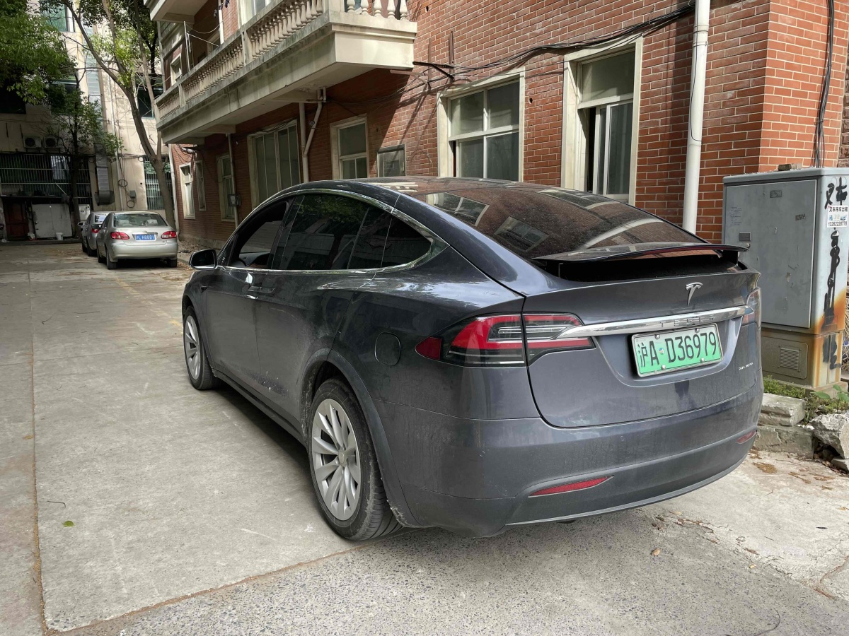 特斯拉 Model X  2019款 长续航版图片