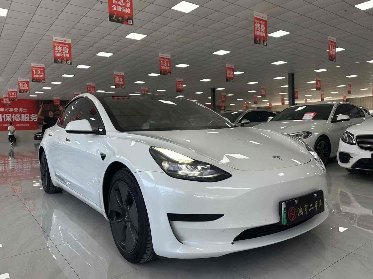 特斯拉 Model 3  2019款 標(biāo)準(zhǔn)續(xù)航后驅(qū)升級(jí)版圖片