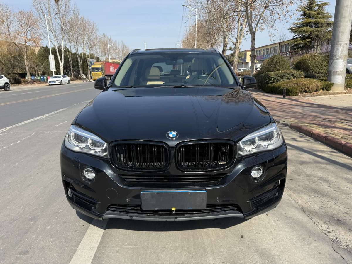 寶馬 寶馬X5  2014款 xDrive35i 領(lǐng)先型圖片