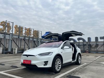 2017年11月 特斯拉 Model X Model X 100D 長續(xù)航版圖片