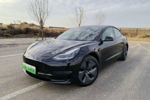 Model 3 特斯拉 长续航后驱版