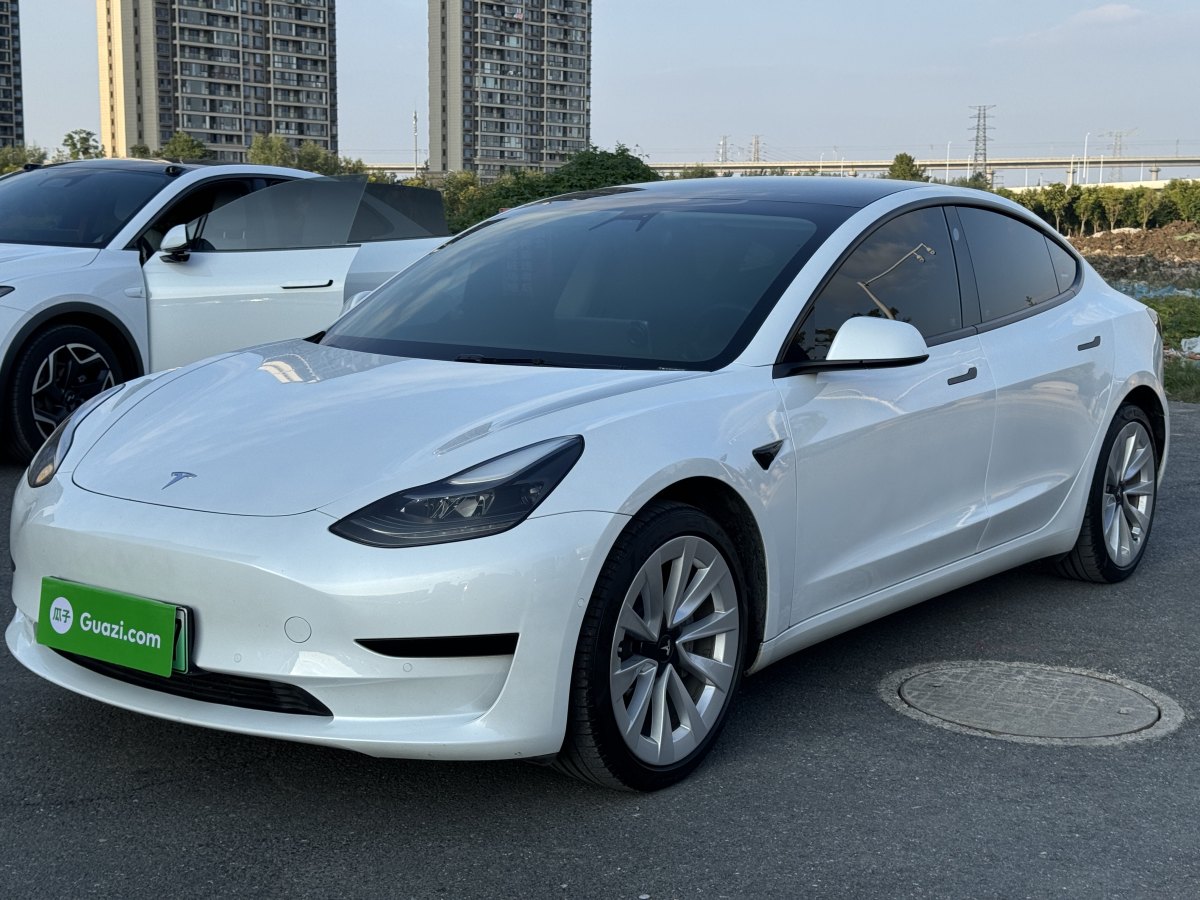 2021年3月特斯拉 Model Y  2021款 標(biāo)準(zhǔn)續(xù)航后驅(qū)升級版 3D6